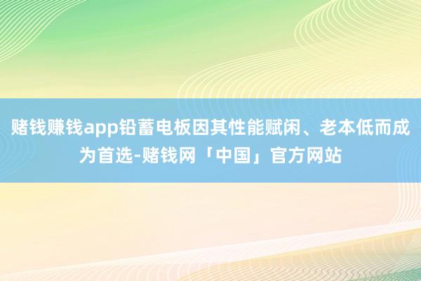 赌钱赚钱app铅蓄电板因其性能赋闲、老本低而成为首选-赌钱网「中国」官方网站