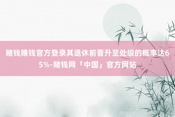赌钱赚钱官方登录其退休前晋升至处级的概率达65%-赌钱网「中国」官方网站