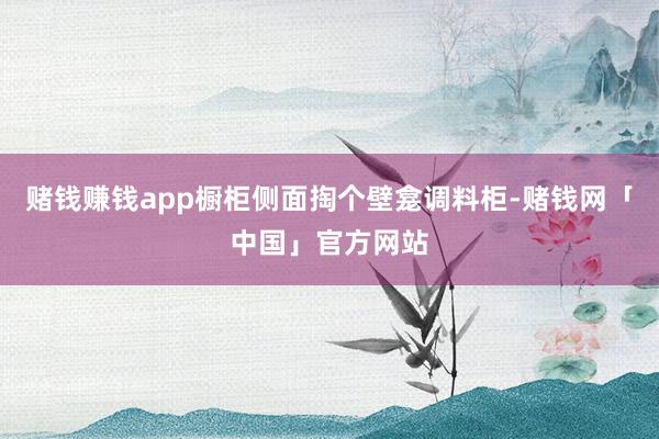 赌钱赚钱app橱柜侧面掏个壁龛调料柜-赌钱网「中国」官方网站